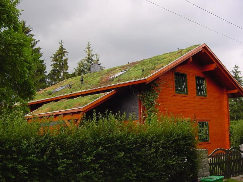 Gründächer - Dachbegrünungen, Natur & Heim GmbH Natur & Heim GmbH Rumah Gaya Skandinavia