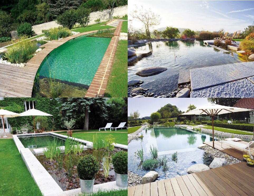 Biopiscine, Dotto Francesco consulting Green Dotto Francesco consulting Green Piscine rustique