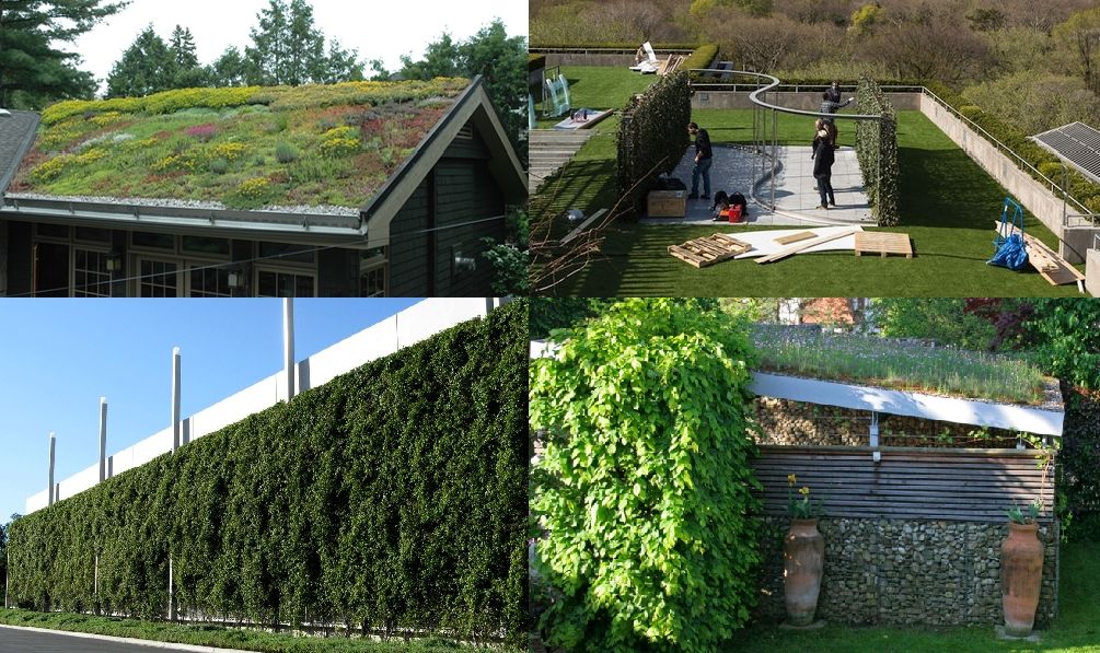 Tetto verde e giardino pensile, Dotto Francesco consulting Green Dotto Francesco consulting Green Mediterrane tuinen