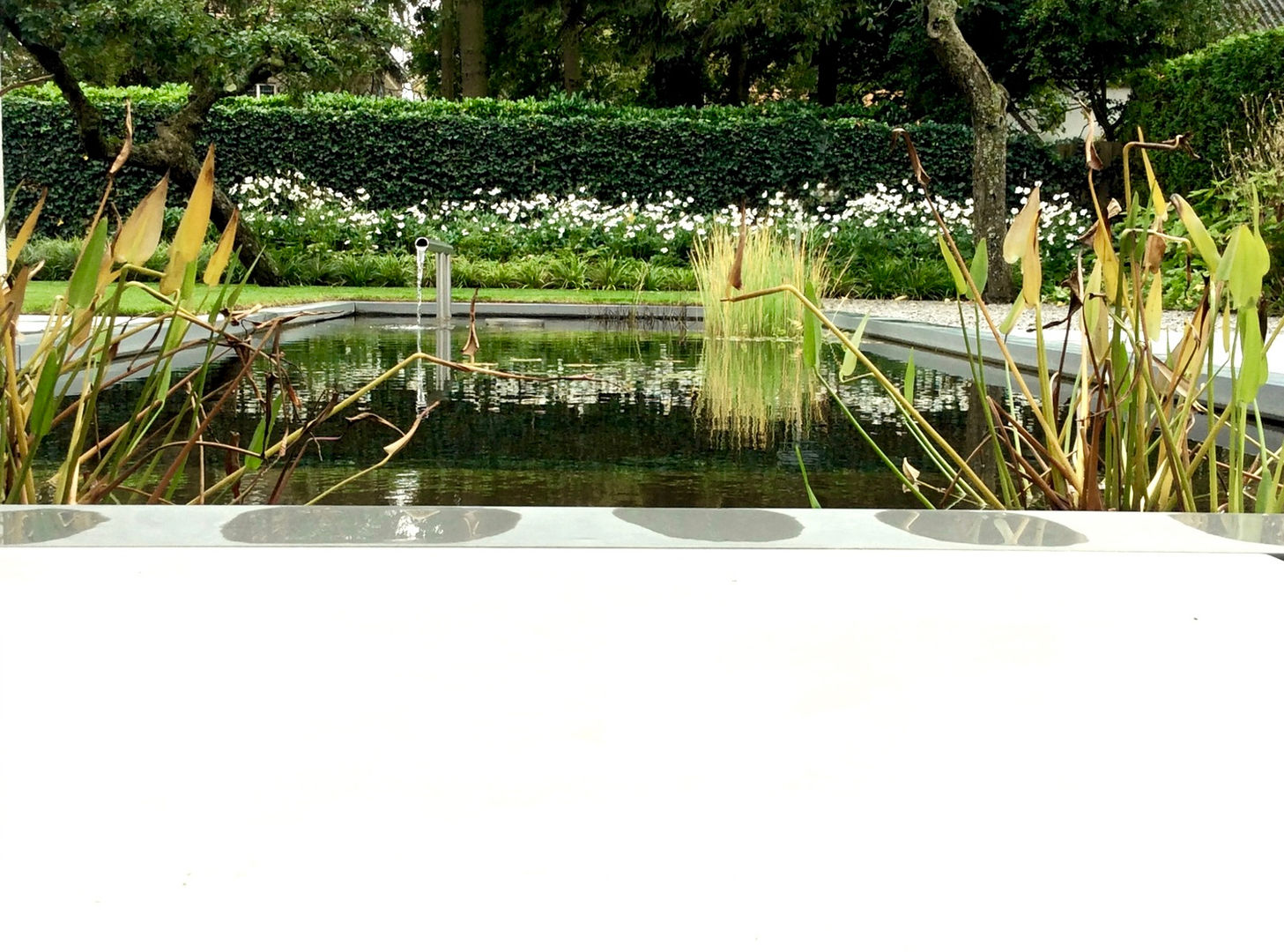 Moderne tuin in oud Brabants dorp, Sparq Tuinen Sparq Tuinen Jardins modernos