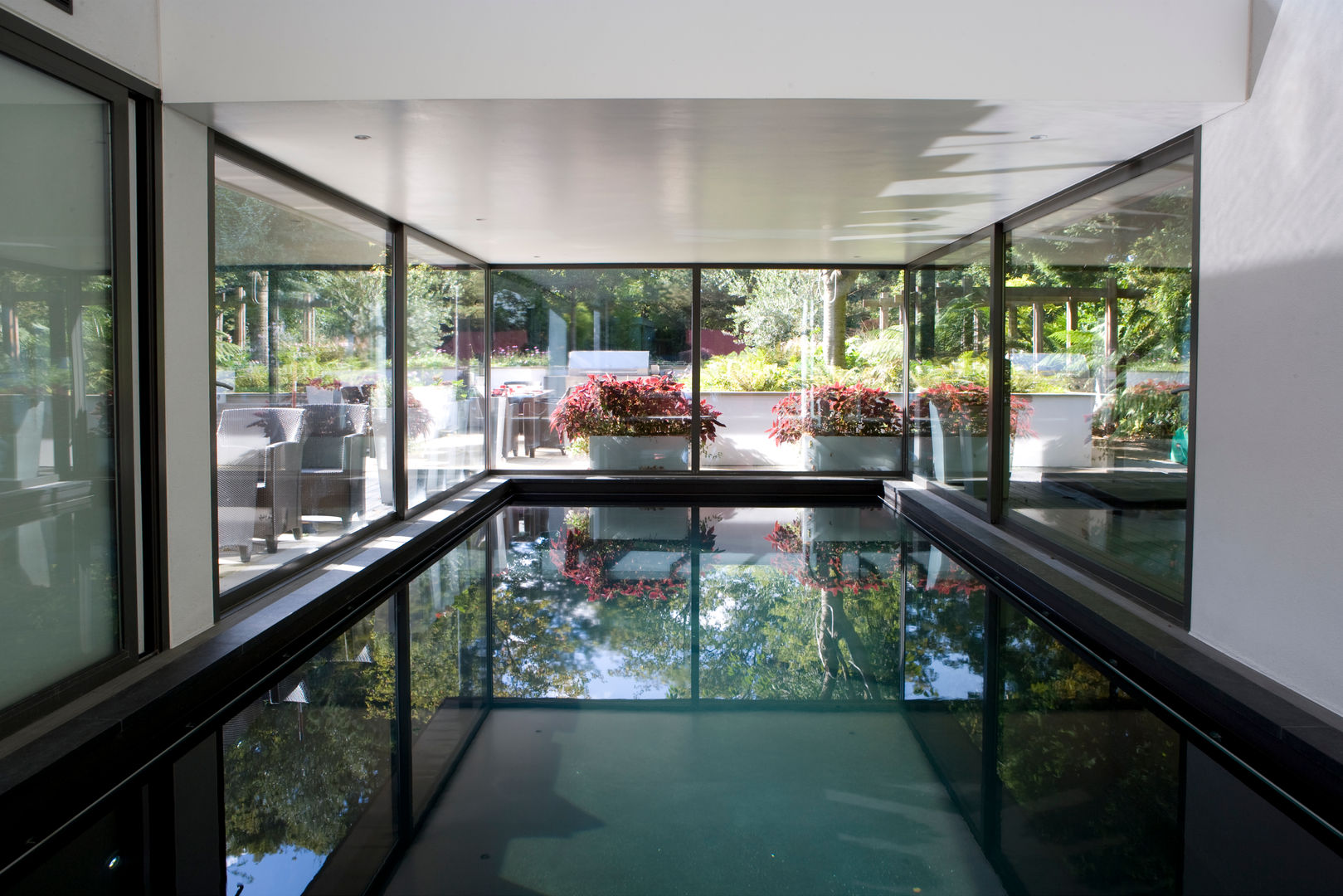 KSR Architects | Compton Avenue | Pool homify Hồ bơi phong cách hiện đại