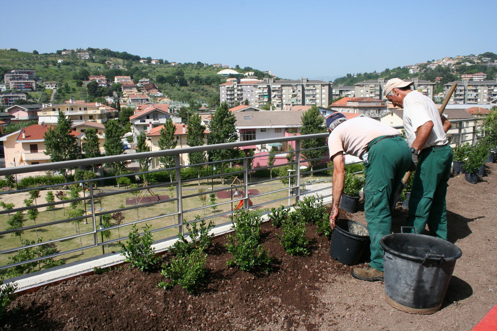 Fasi di realizzazione Febo Garden landscape designers