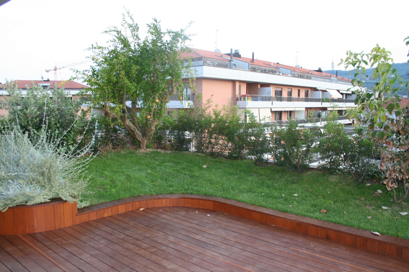 Fasi di realizzazione Febo Garden landscape designers