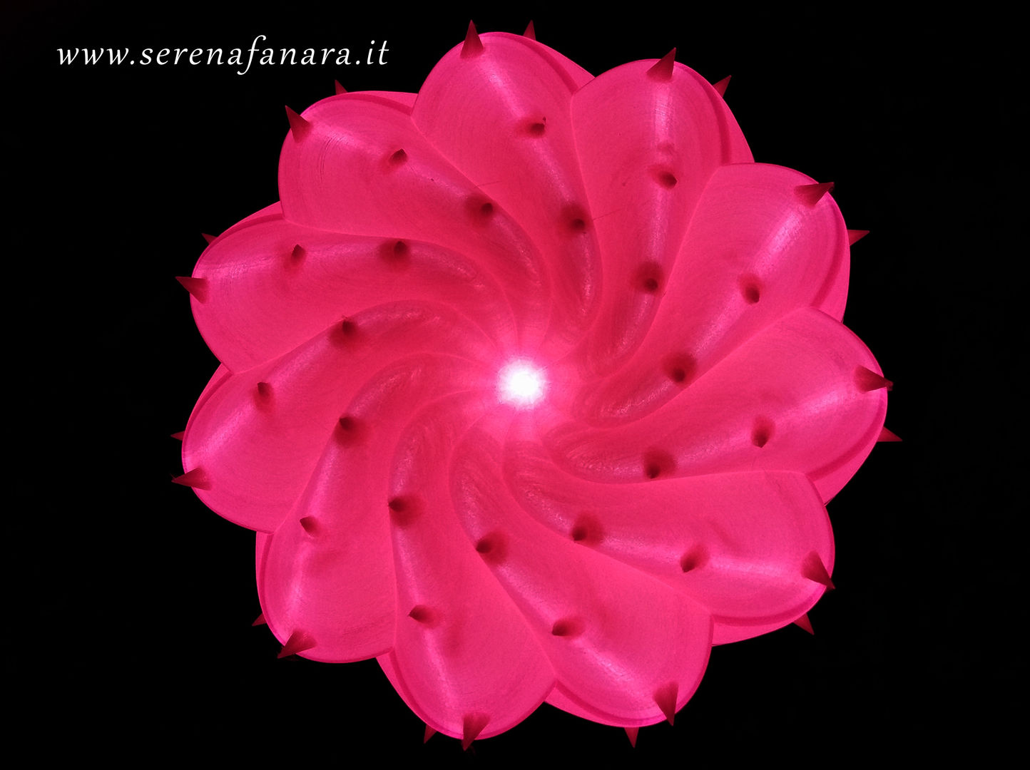 Desert Light modello "Cereus spiralis", SeFa Design by nature SeFa Design by nature 모던스타일 주택 천연 섬유 베이지 Accessories & decoration