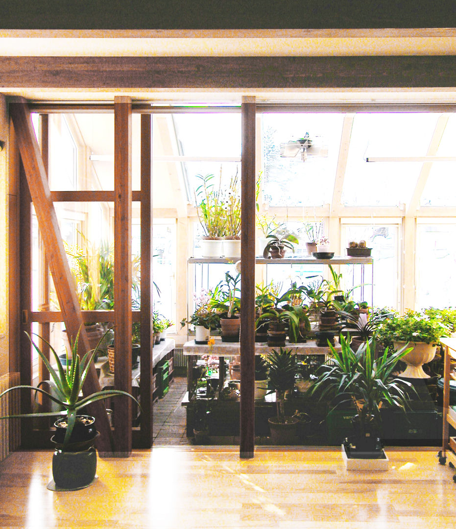 温室のある北国の家, ユミラ建築設計室 ユミラ建築設計室 Зимний сад в стиле модерн