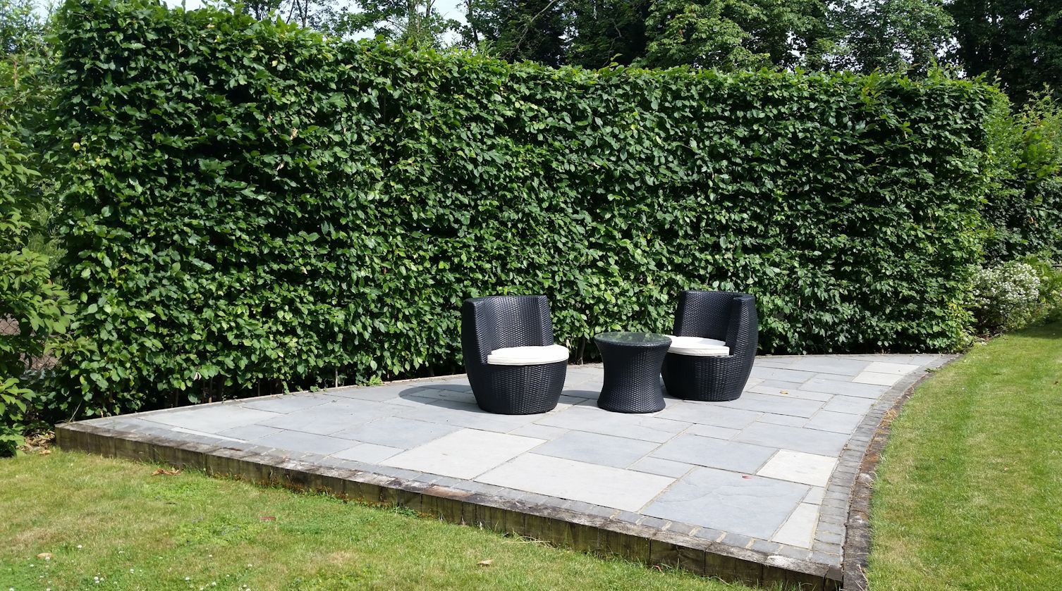 Long, narrow, contemporary garden design, Woking, Surrey Linsey Evans Garden Design 모던스타일 정원