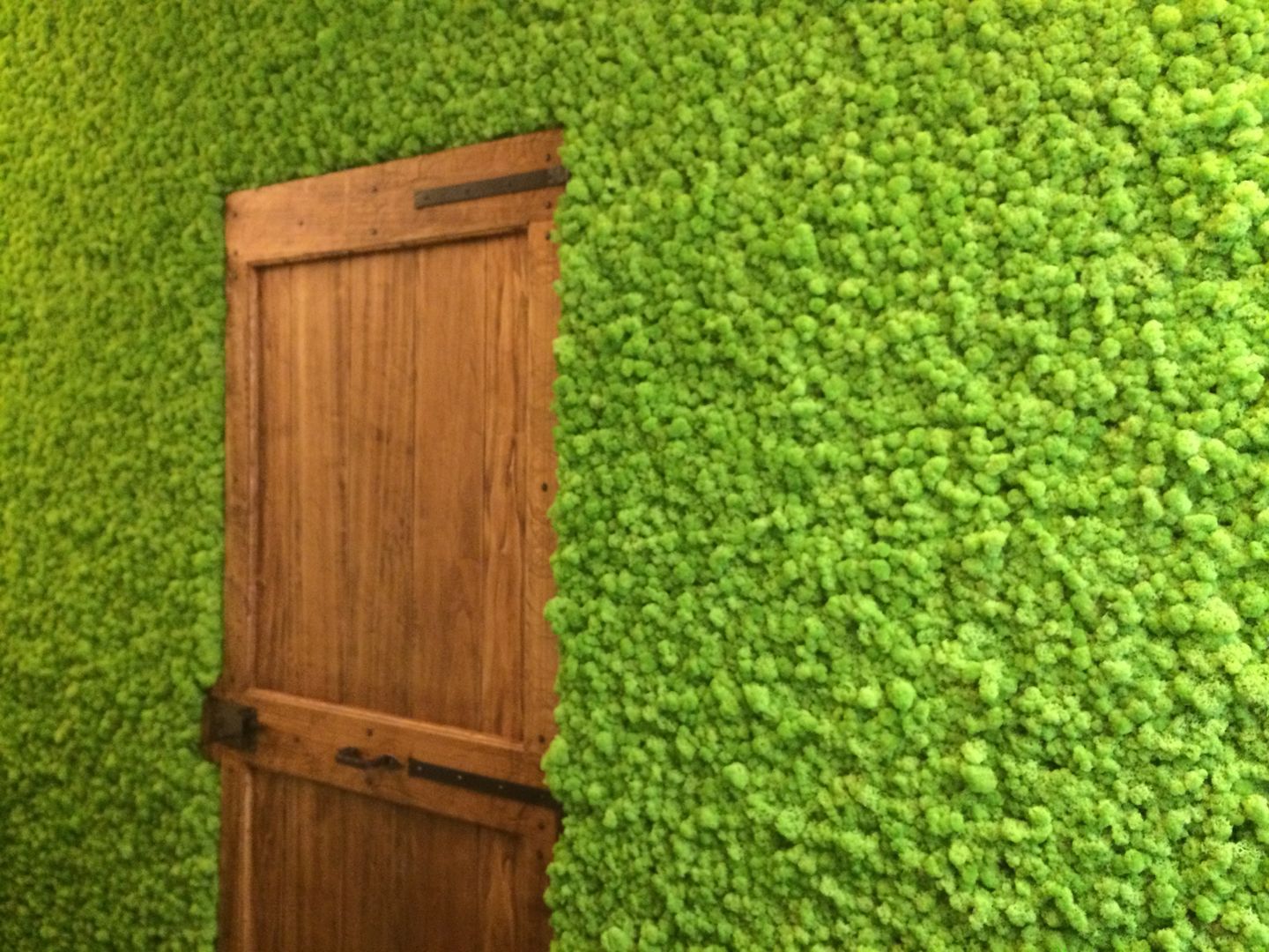 Zielone ściany z mchu Moss Trend®, BandIt Design BandIt Design Modern corridor, hallway & stairs
