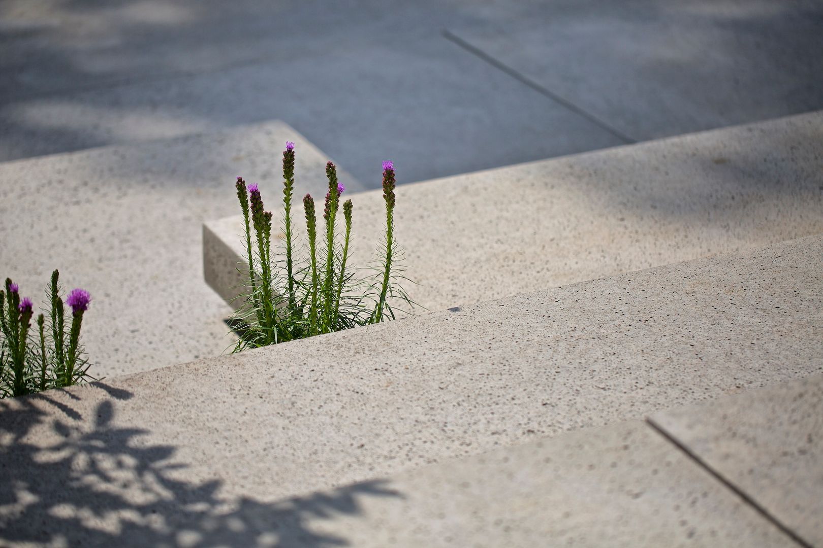 Modern amfitheater op oude stuwwal, Jaap Sterk Jaap Sterk Modern style gardens Concrete