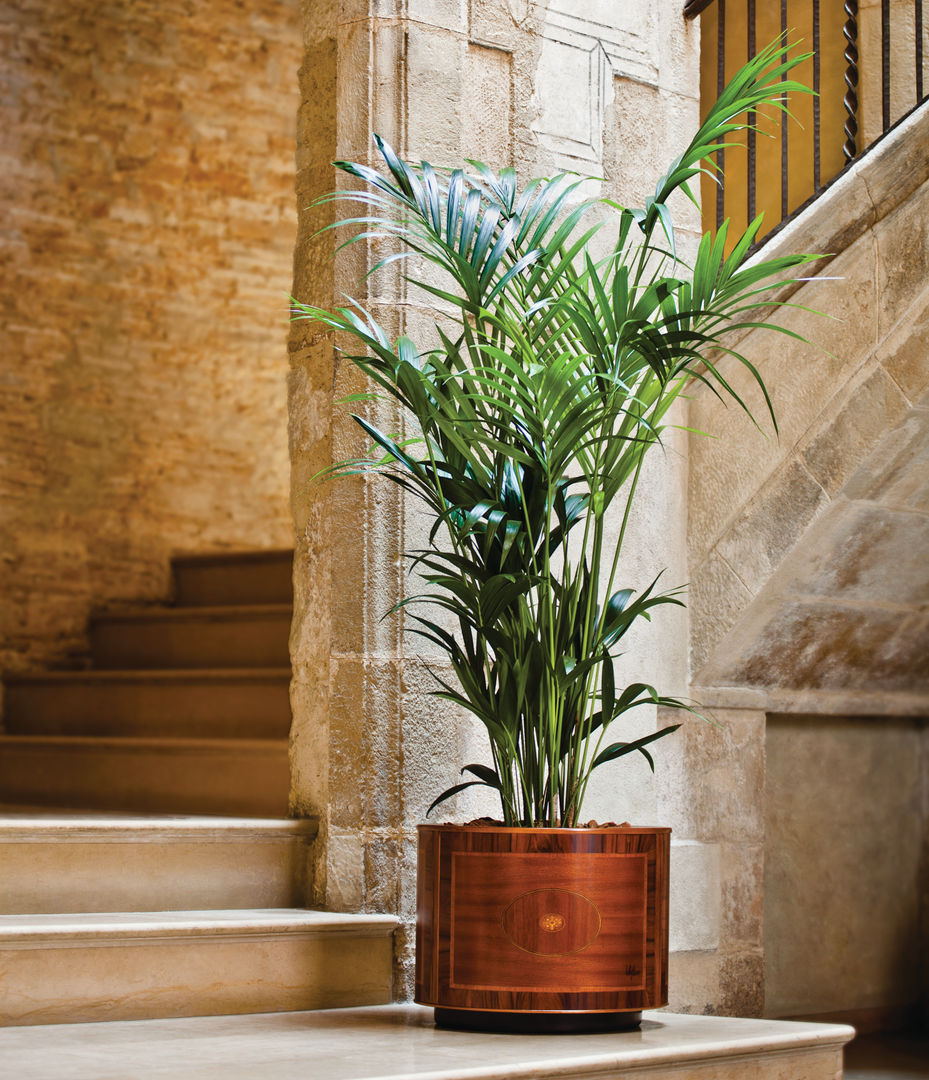 homify حديقة Plants & accessories