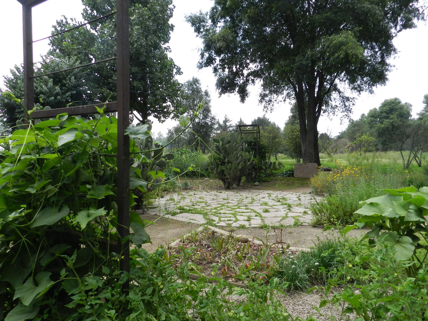 Huerto Xochitla, Paisaje Radical Paisaje Radical Jardines modernos: Ideas, imágenes y decoración