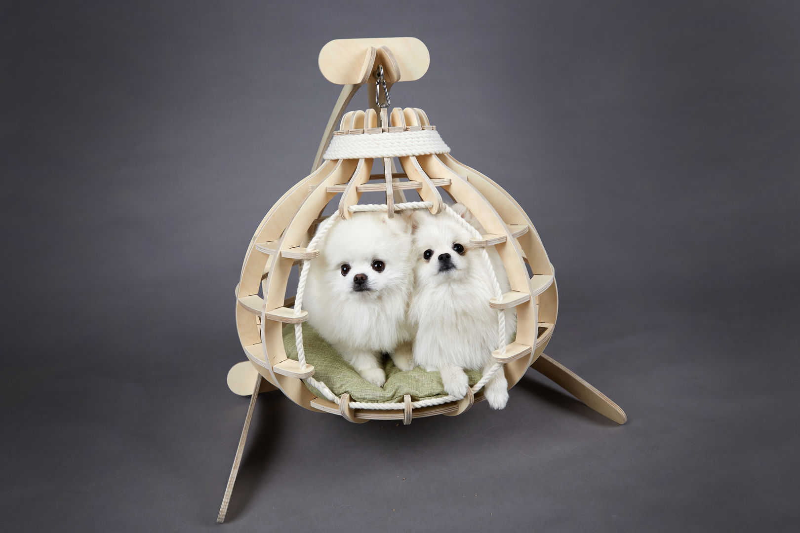 호박 스윙 하우스, 가또블랑코 가또블랑코 Otros espacios Accesorios para los animales