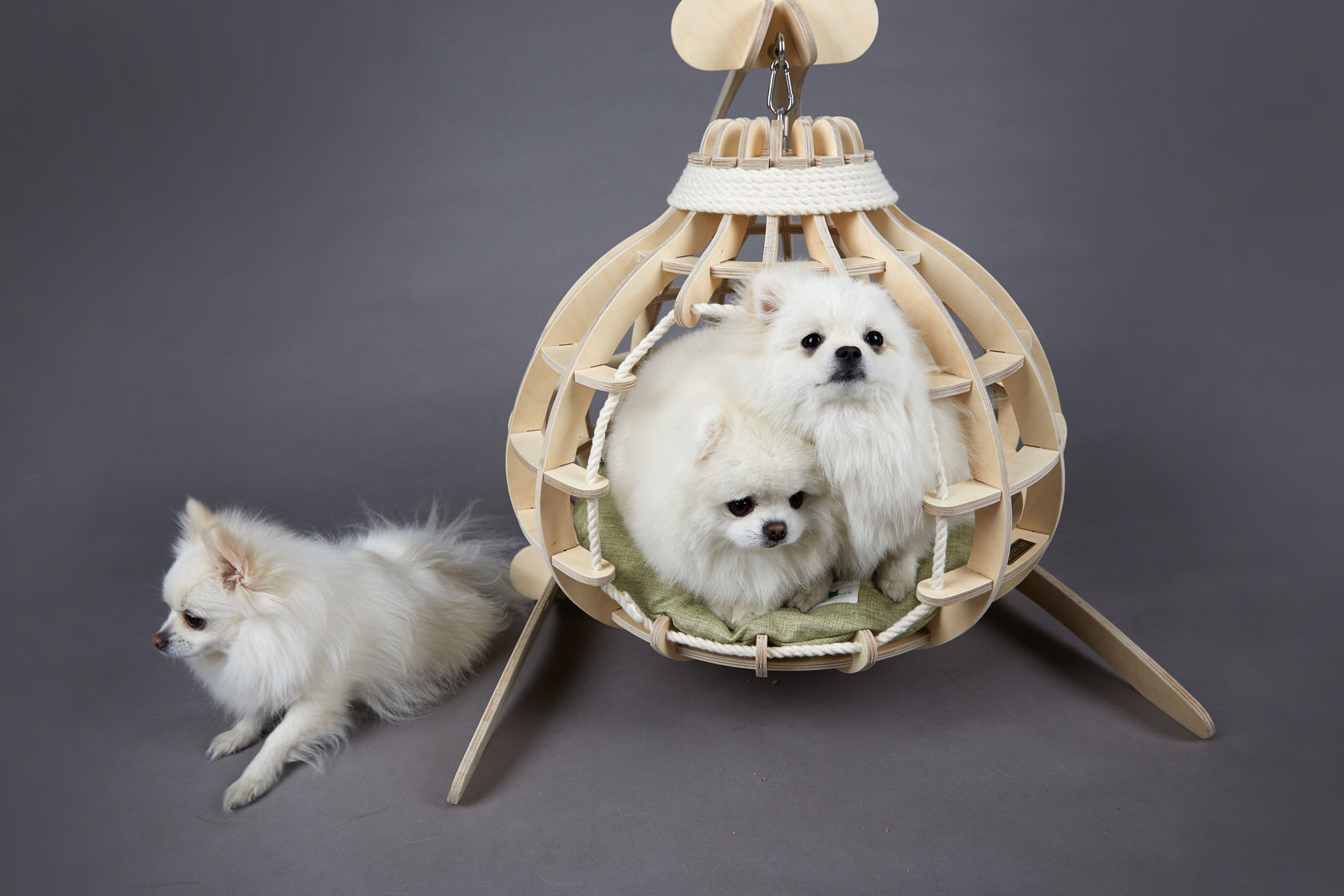 호박 스윙 하우스, 가또블랑코 가또블랑코 Otros espacios Accesorios para animales