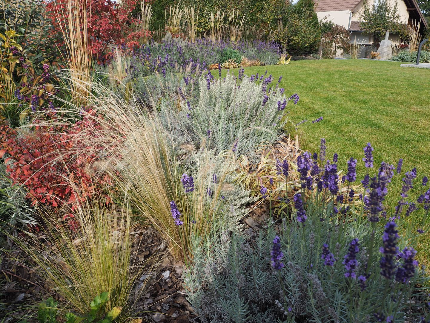 JARDIN D'EXPRESSION EN ALSACE (Paysagiste 68), SCHAEDELE PAYSAGISTE SCHAEDELE PAYSAGISTE Jardines de estilo moderno Plantas y flores