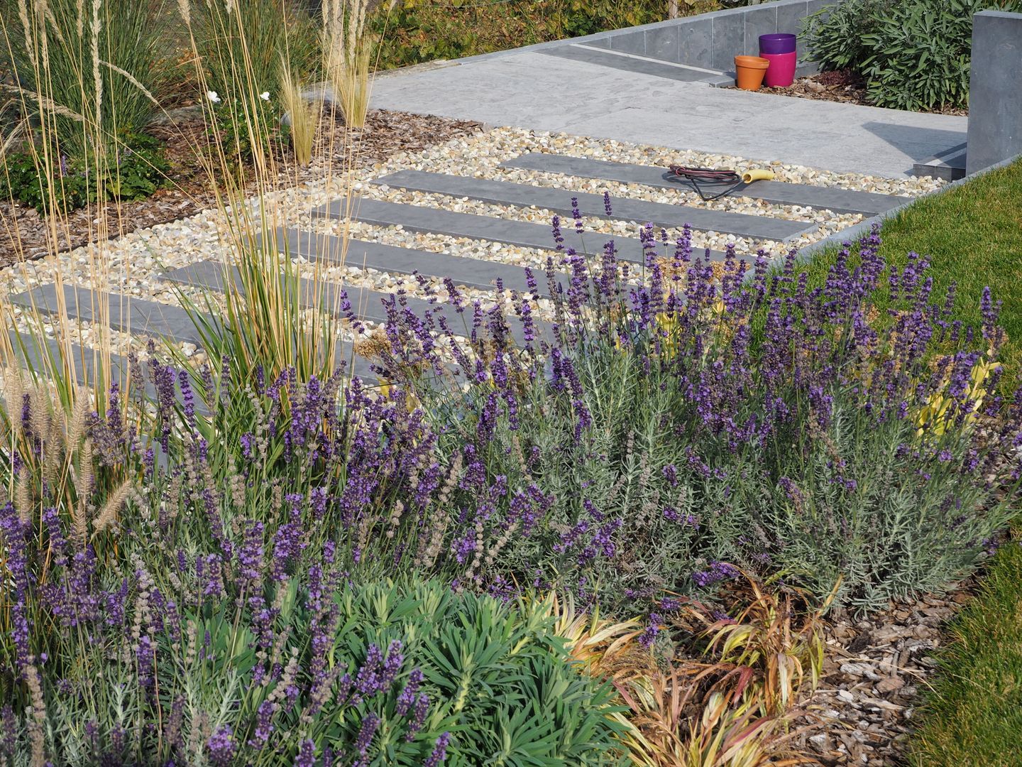 JARDIN D'EXPRESSION EN ALSACE (Paysagiste 68), SCHAEDELE PAYSAGISTE SCHAEDELE PAYSAGISTE Jardins modernos Plantas e flores