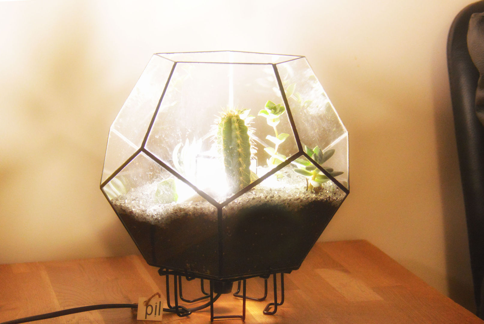 Terrarium Lighting Pil Tasarım Mimarlik + Peyzaj Mimarligi + Ic Mimarlik Moderne tuinen Glas Planten & accessoires