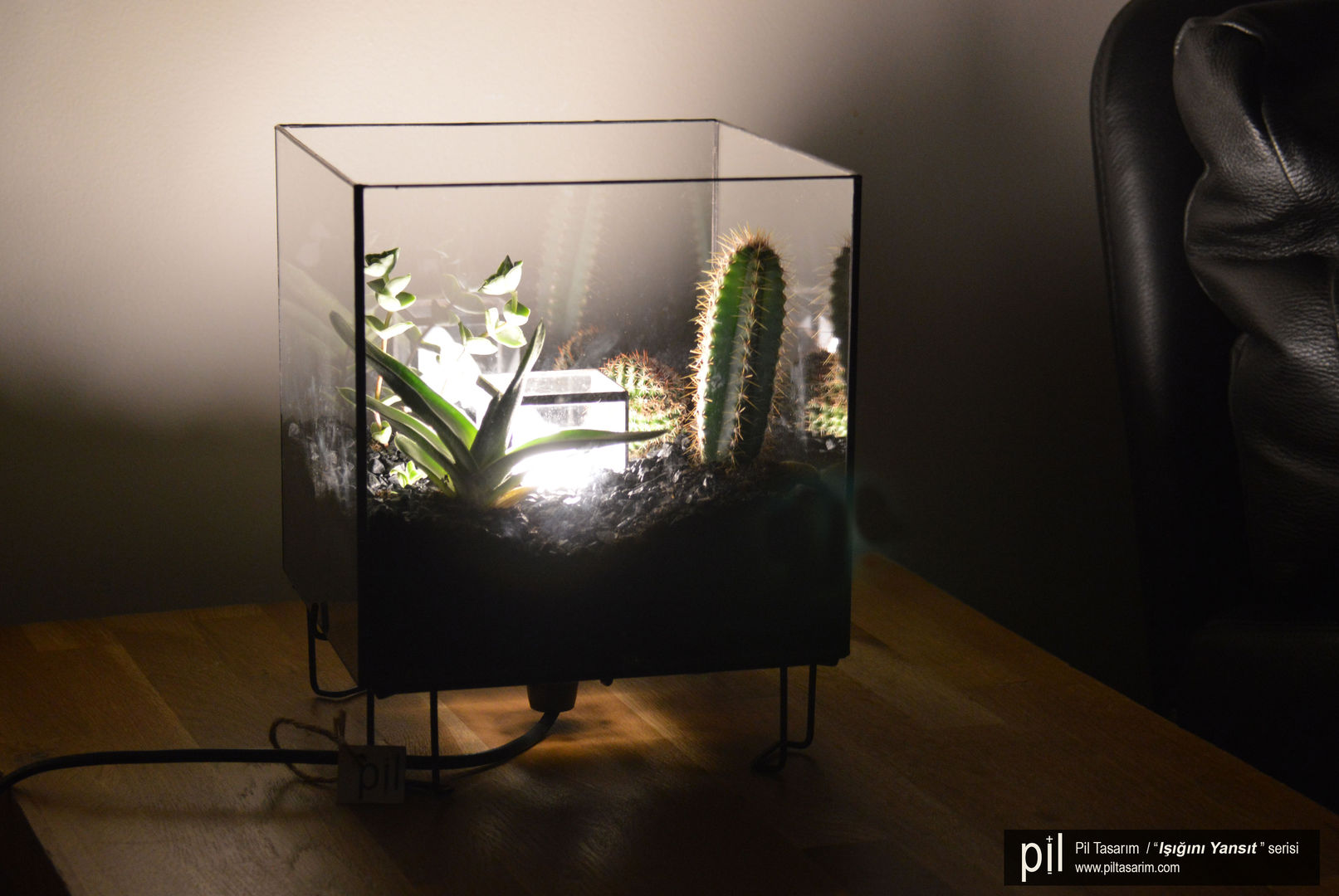 Terrarium Lighting Pil Tasarım Mimarlik + Peyzaj Mimarligi + Ic Mimarlik Modern style gardens Glass Plants & flowers
