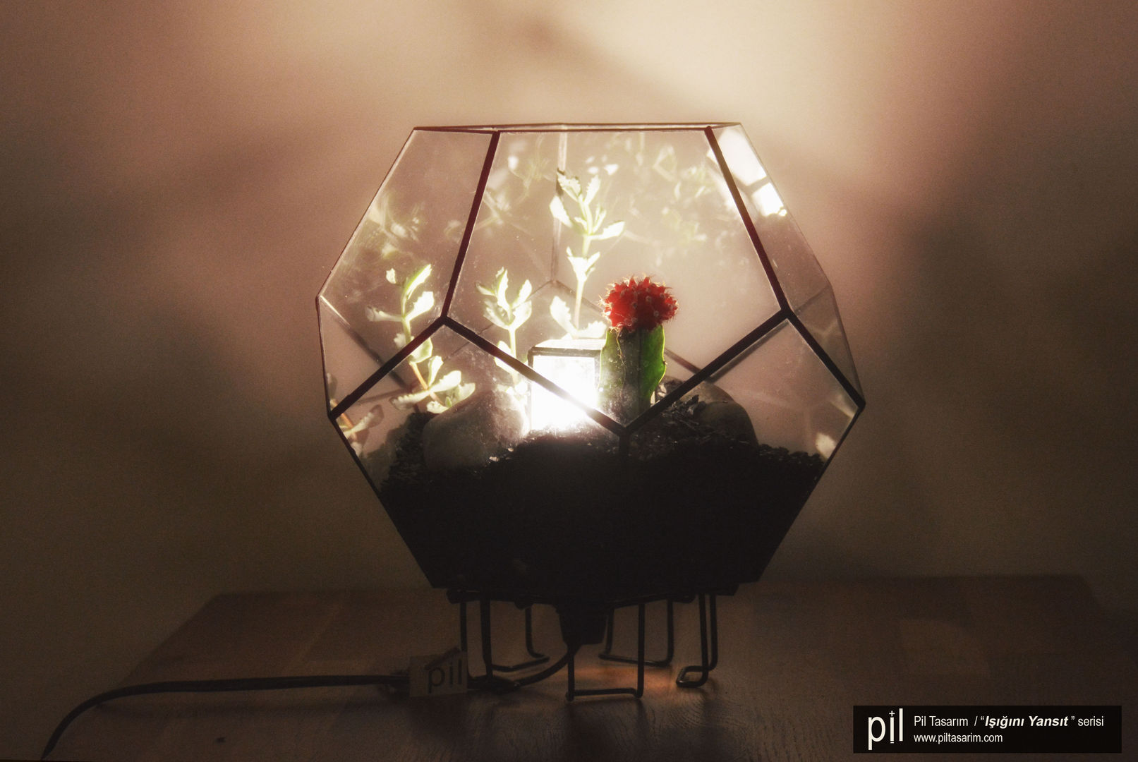 Terrarium Lighting Pil Tasarım Mimarlik + Peyzaj Mimarligi + Ic Mimarlik Interior garden Glass Interior landscaping