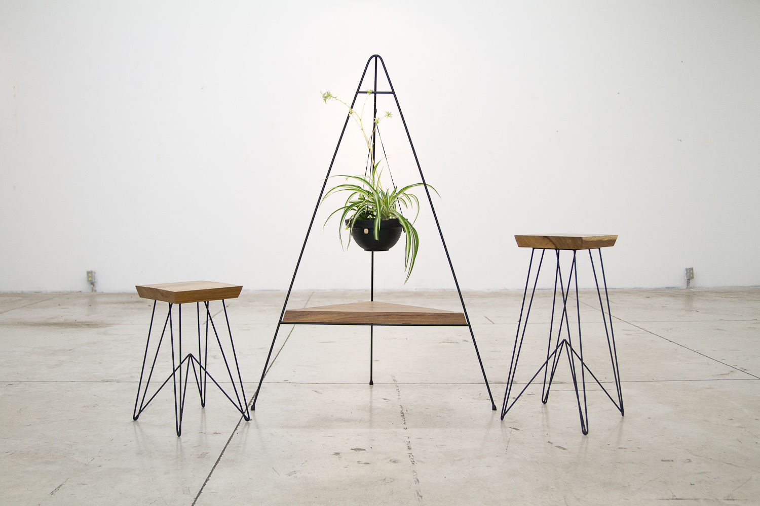 Planter Colection Series , The Curious The Curious Minimalist style garden
