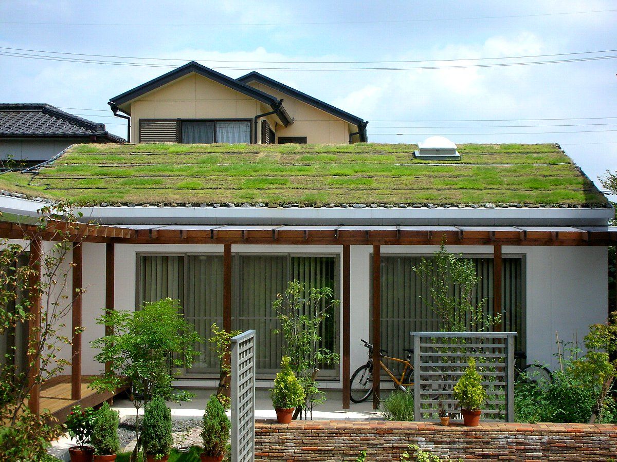 緑の屋根 小栗建築設計室 ラスティックな 家