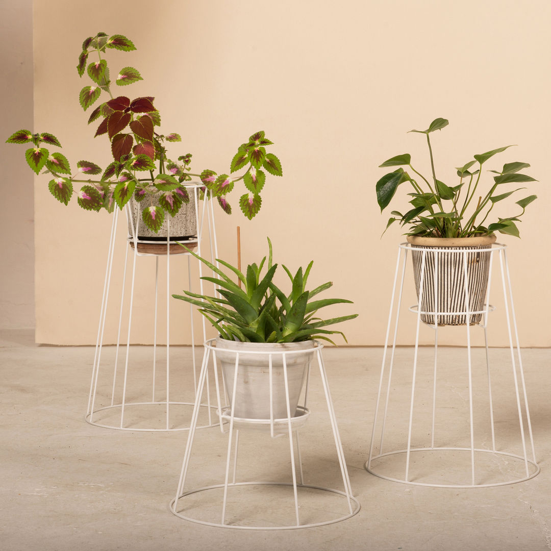 Zeit für Neues!, Connox Connox Giardino d'inverno in stile scandinavo