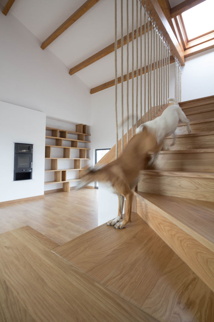 CASA BARBARA, R. Borja Alvarez. Arquitecto R. Borja Alvarez. Arquitecto Living room