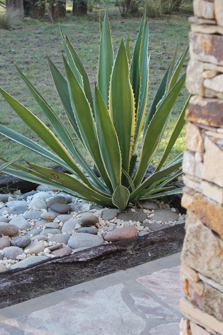 Casa quinta privada, LAS MARIAS casa & jardin LAS MARIAS casa & jardin Jardines de estilo moderno