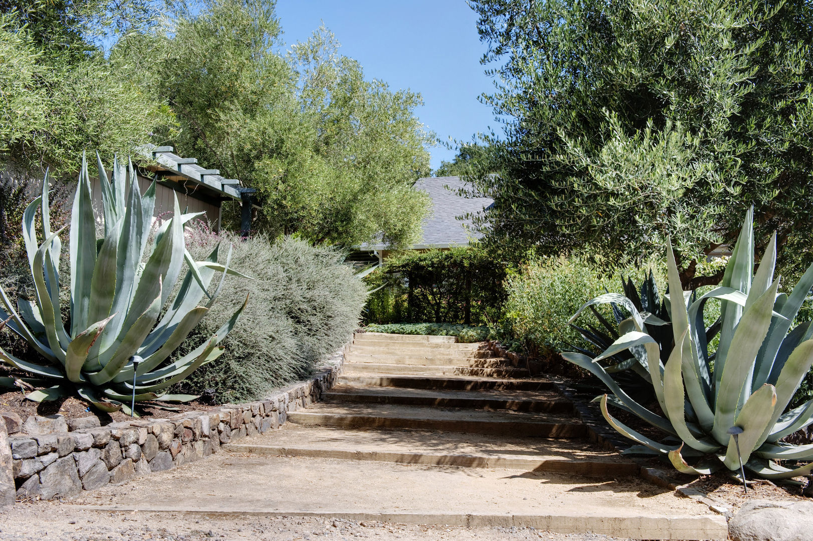 Casa em Sonoma, California, Antonio Martins Interior Design Inc Antonio Martins Interior Design Inc Garden