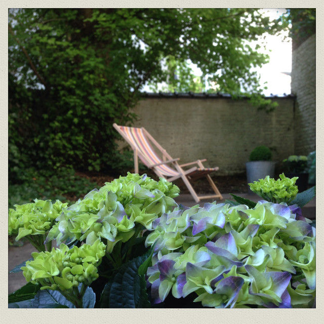 Détail de l' hortensia avec vue sur le sous-bois Urban Garden Designer Jardin classique Plante,Botanique,Fleur,Mobilier de jardin,Arbre,Végétation,Bois,Ombre,Gazon,Chaise