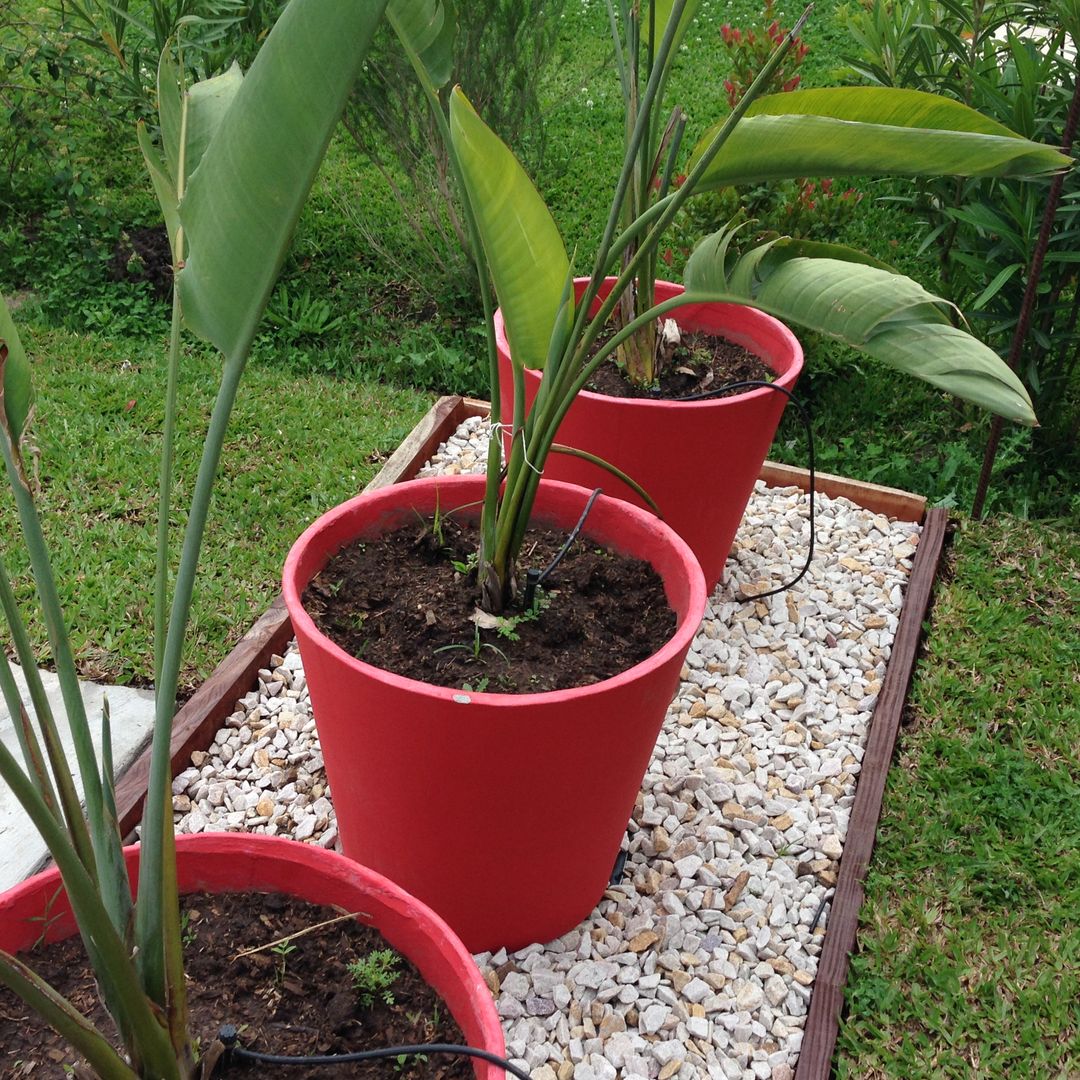 MODERN RED, BAIRES GREEN BAIRES GREEN Jardines de estilo moderno