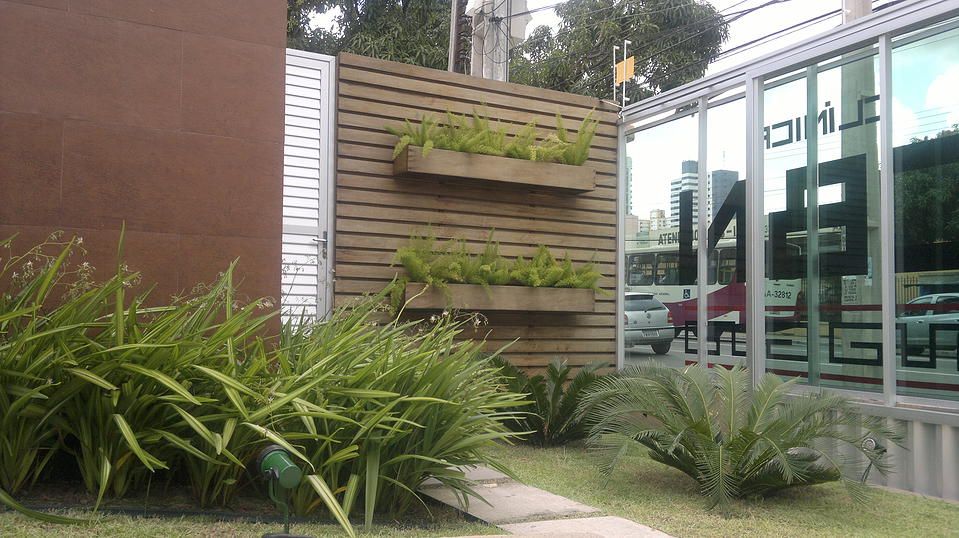 Jardim CBNA, Marcos Assmar Arquitetura | Paisagismo Marcos Assmar Arquitetura | Paisagismo Egzotyczny ogród