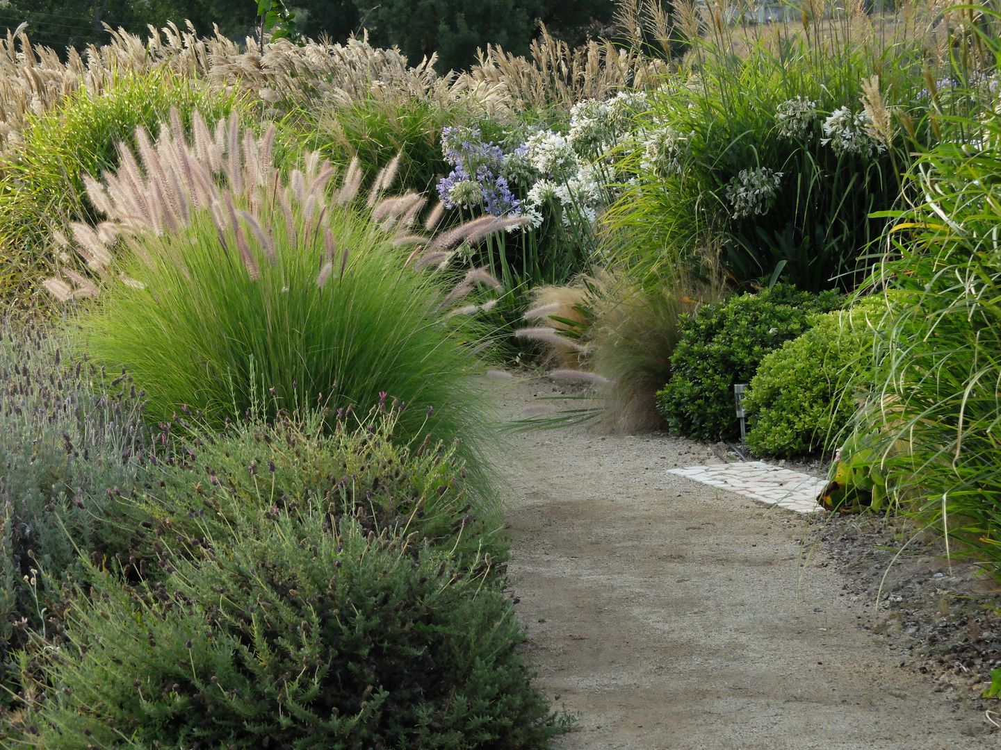 Jardim de gramíneas e aromáticas, Atelier Jardins do Sul Atelier Jardins do Sul Taman Gaya Eklektik