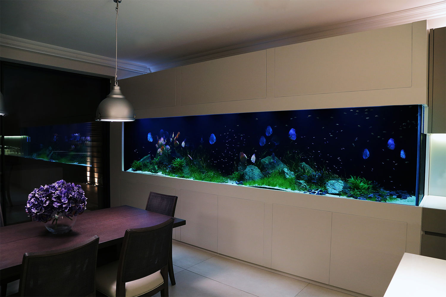 Serene Modern Interior, Aquarium Architecture Aquarium Architecture Modern Yemek Odası