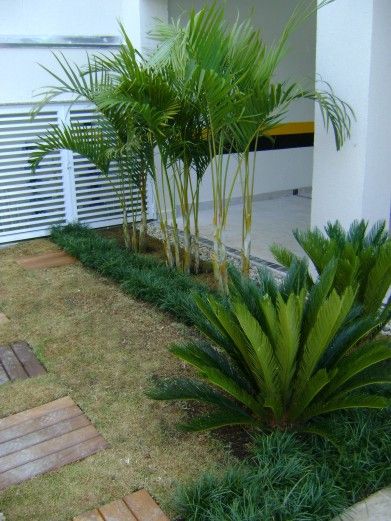 PAISAGISMO: JARDINS BY MC3, MC3 Arquitetura . Paisagismo . Interiores MC3 Arquitetura . Paisagismo . Interiores حديقة