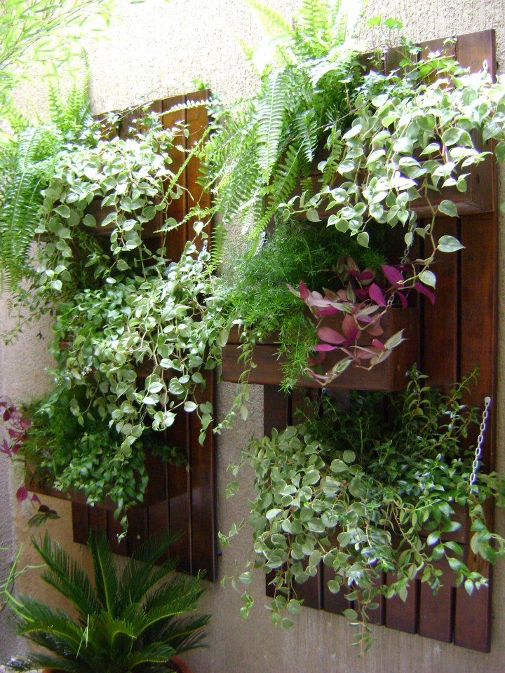 PAISAGISMO: JARDINS VERTICAIS BY MC3, MC3 Arquitetura . Paisagismo . Interiores MC3 Arquitetura . Paisagismo . Interiores Rustic style garden