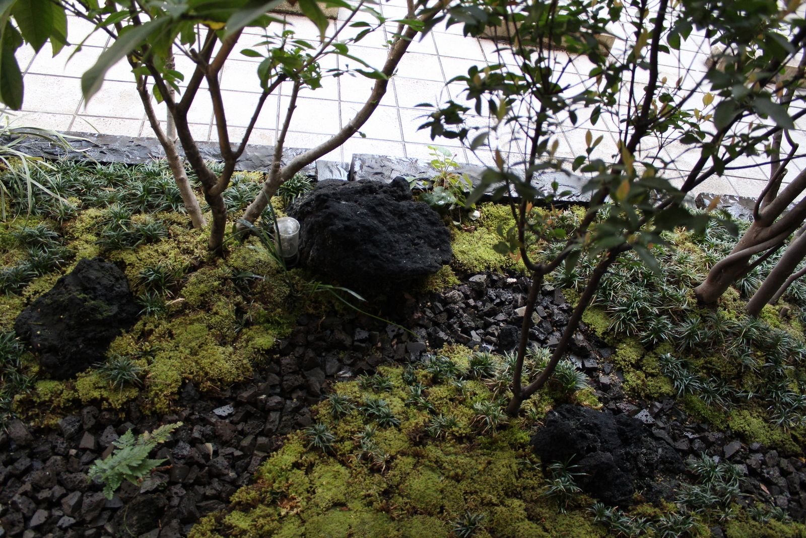 苔庭, 庭園空間ラボ teienkuukan Labo 庭園空間ラボ teienkuukan Labo Azjatycki ogród