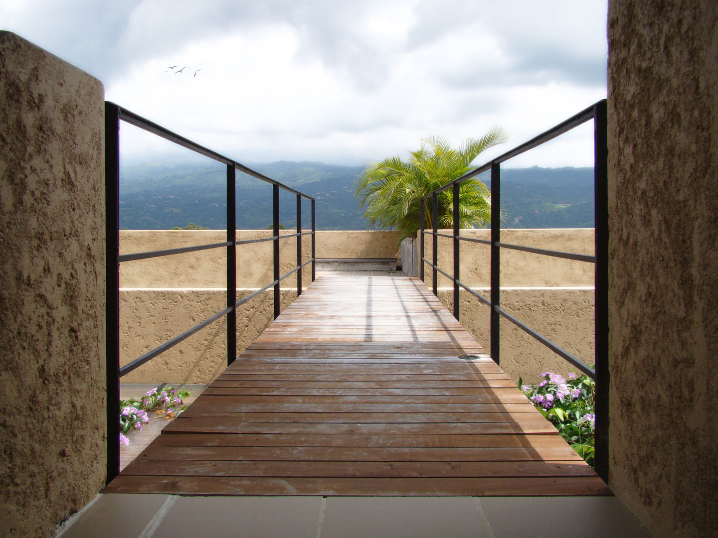 Casa de la Torre, David Macias Arquitectura & Urbanismo David Macias Arquitectura & Urbanismo Country style corridor, hallway& stairs