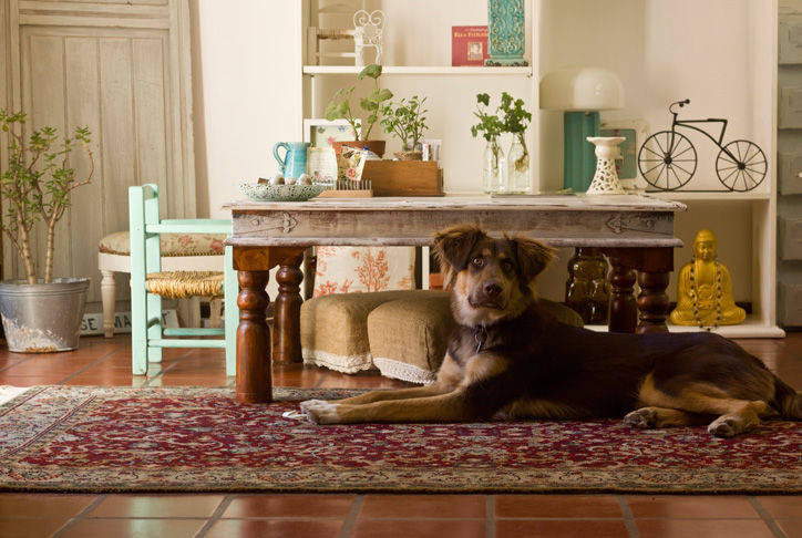 DECORACIÓN de INTERIORES. Casa Vintage, La Florinda La Florinda Вітальня Аксесуари та прикраси