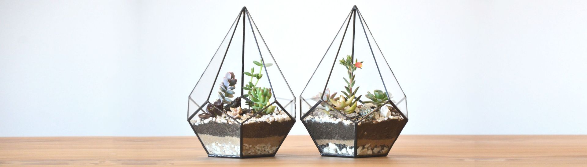 TERRARIOS GEOMÉTRICOS ARTESANALES, CASA OZ CASA OZ Vườn phong cách hiện đại Plants & accessories