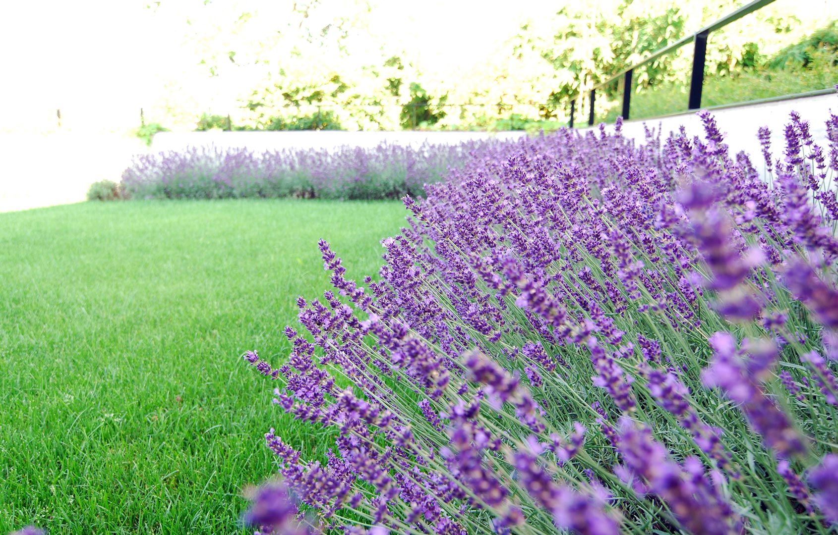 Draussen leben, Lustenberger Schelling Landschaftsarchitektur Lustenberger Schelling Landschaftsarchitektur Jardines de estilo moderno