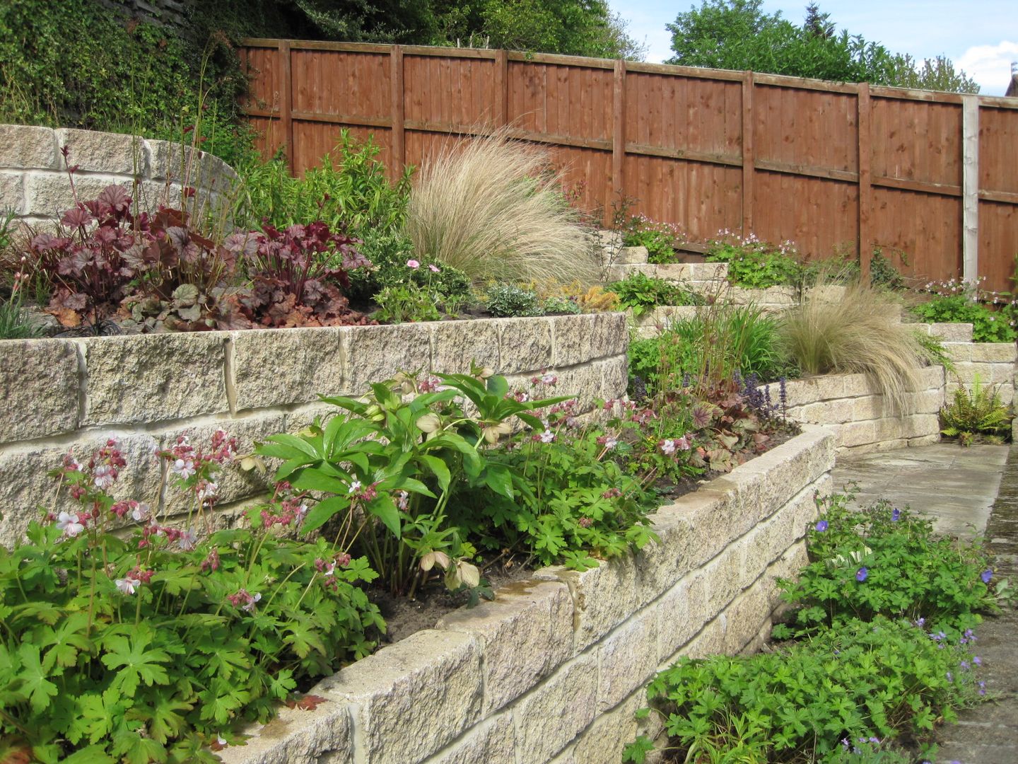 Completed terraces with planting Mike Bradley Garden Design