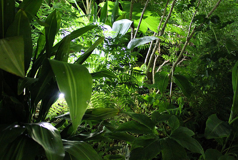 titre, Fertiles Fertiles Jardins ecléticos Iluminação