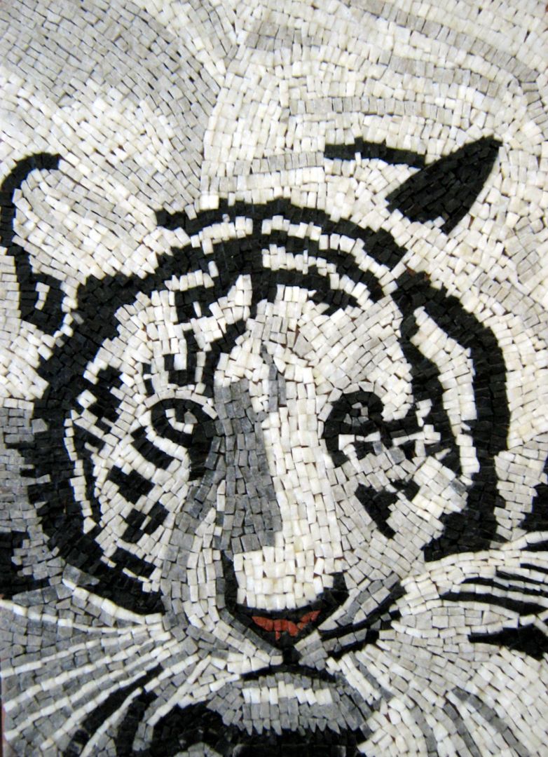 Tigre, LABORATORIO DI MOSAICO DELLA MAIEUSIS SCS LABORATORIO DI MOSAICO DELLA MAIEUSIS SCS Mais espaços Pedra Outras obras de arte