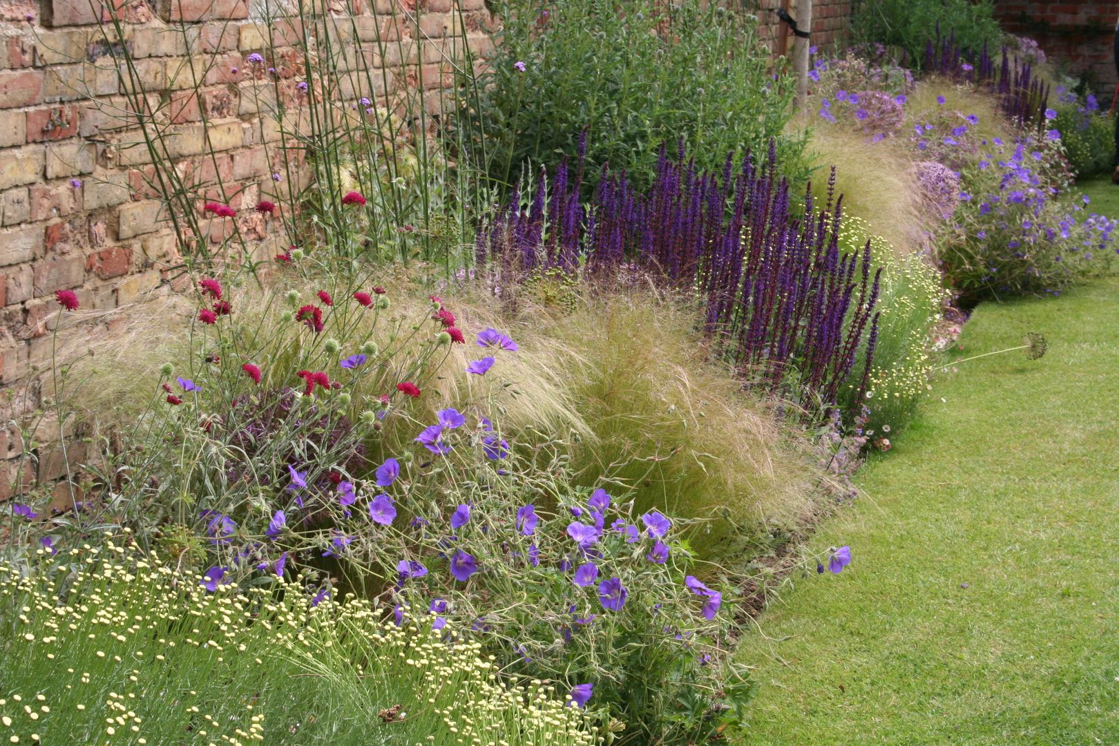 Town garden planting design, Bea Ray Garden Design Ltd Bea Ray Garden Design Ltd Modern Garden