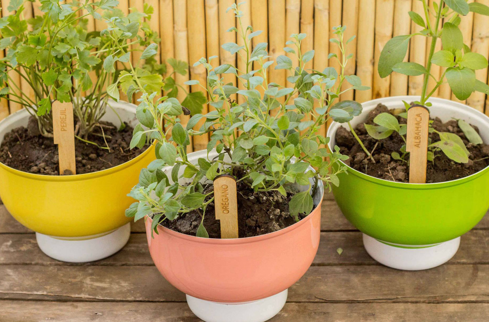 macetas Brote Cuantatienda Balcones y terrazas de estilo moderno Plantas y flores