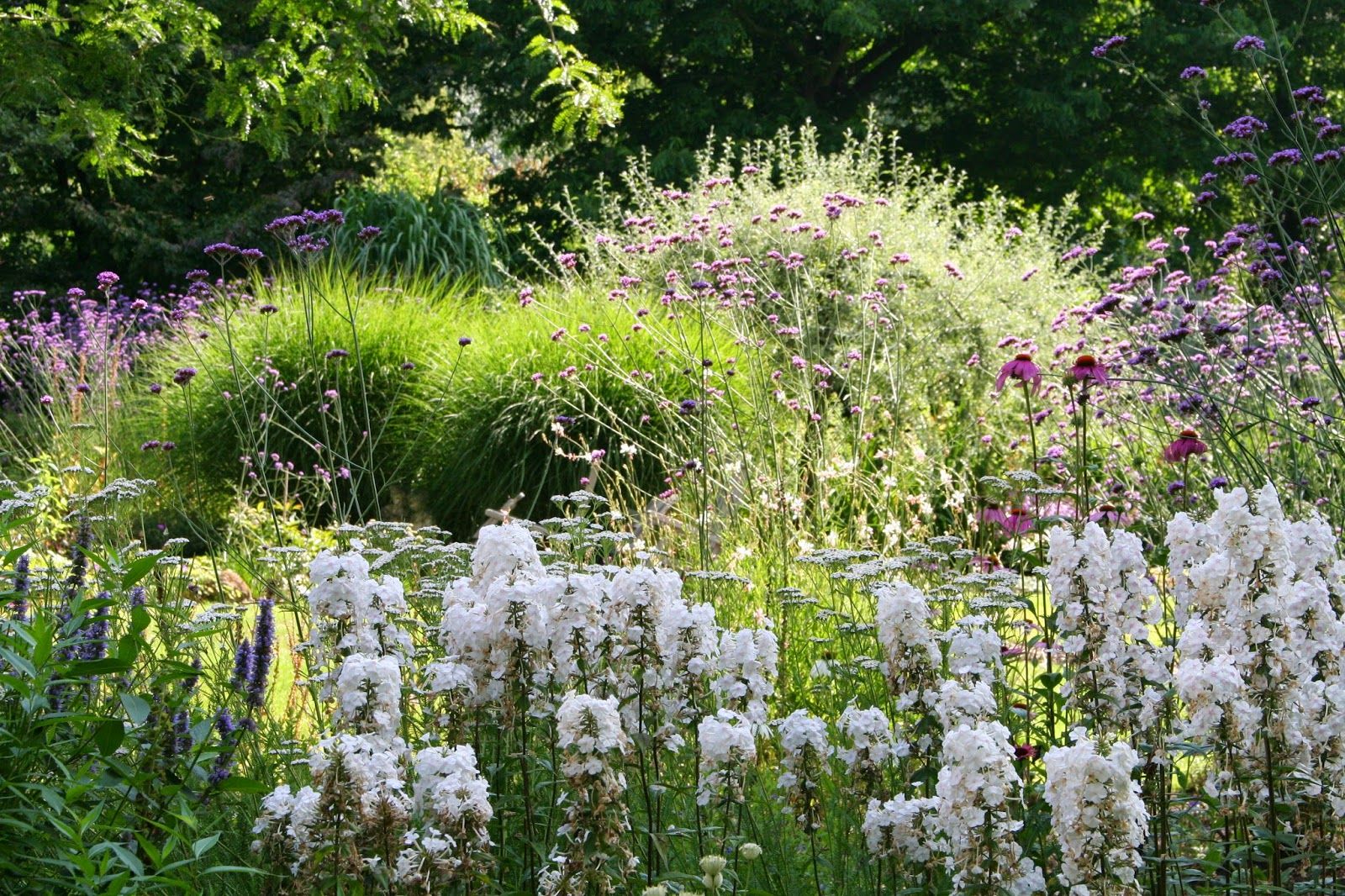 Weelderige border in cottagestijl, Carla Wilhelm Carla Wilhelm Giardino rurale