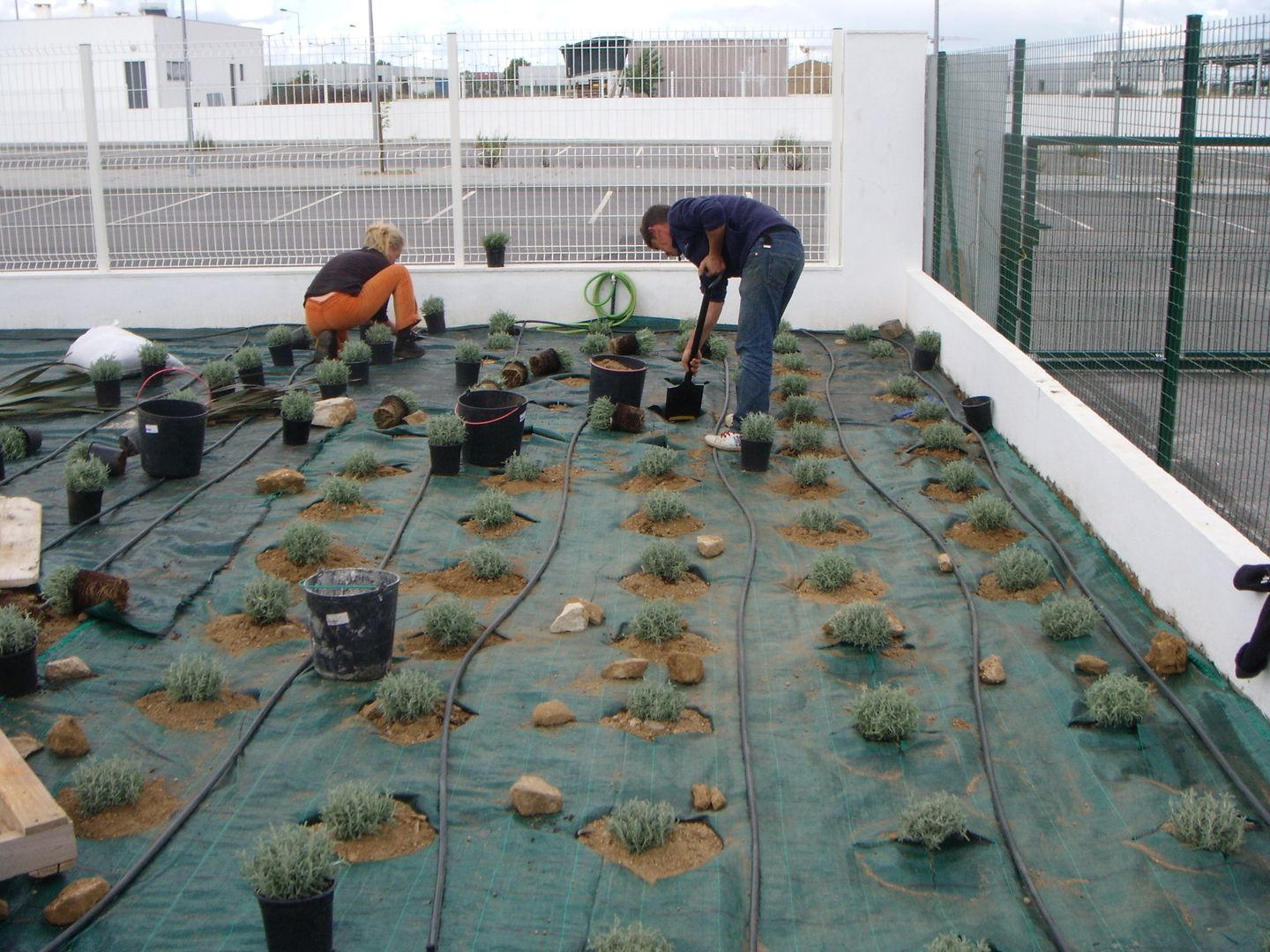 Zonas verdes em clínica, Atelier Jardins do Sul Atelier Jardins do Sul Jardines de estilo ecléctico