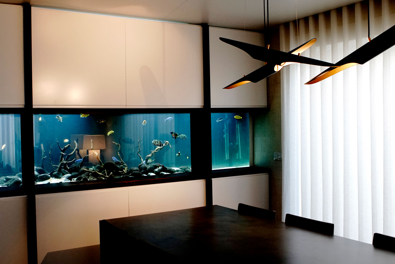 ADn freshwater aquarium, ADn Aquarium Design ADn Aquarium Design Гостиная в стиле модерн Аксессуары и декорации