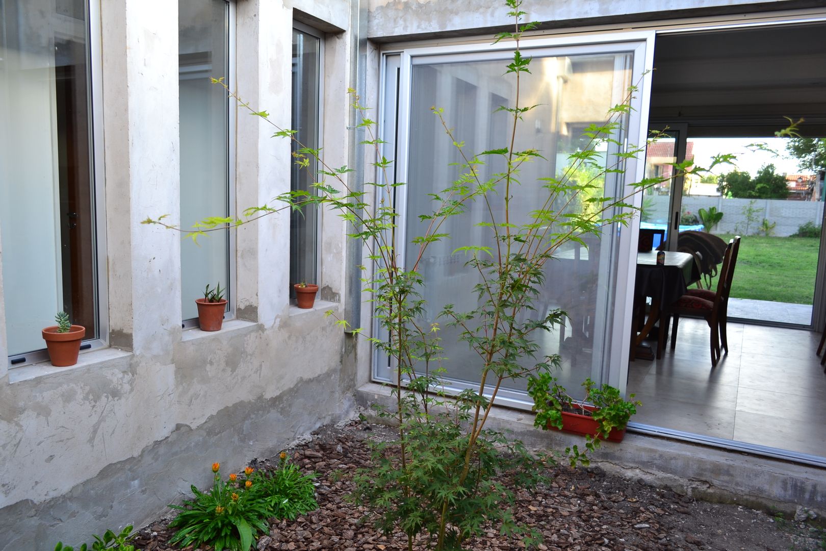 CASA A PATIO , epb arquitectura epb arquitectura Jardines de estilo moderno