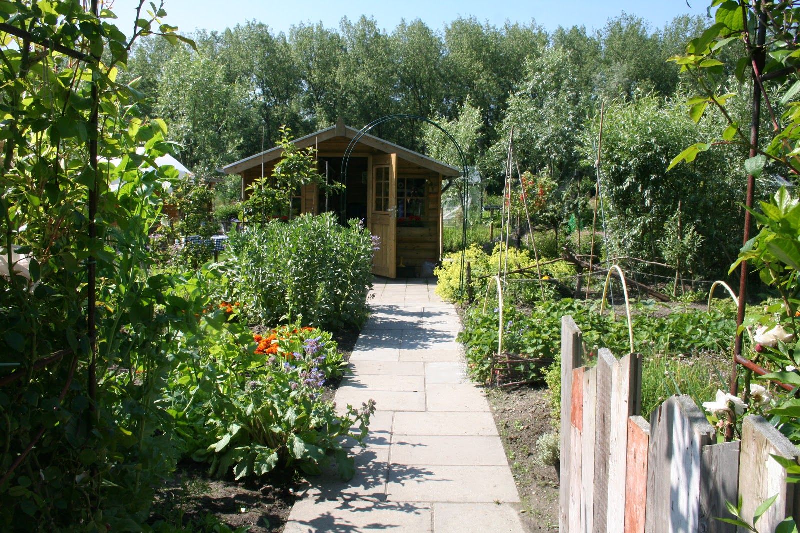 Eetbare tuin, Carla Wilhelm Carla Wilhelm Kırsal Bahçe