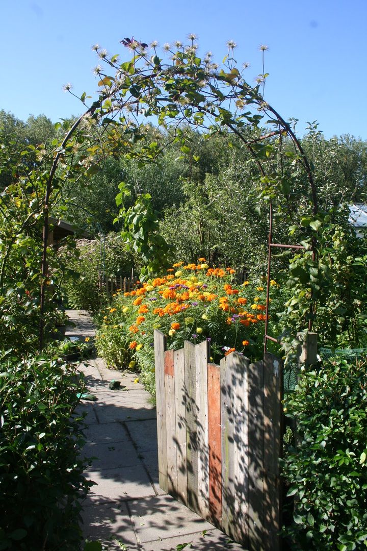 Eetbare tuin, Carla Wilhelm Carla Wilhelm Wiejski ogród